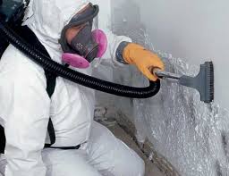 Why You Should Choose Our Mold Remediation Services in Augusta, GA